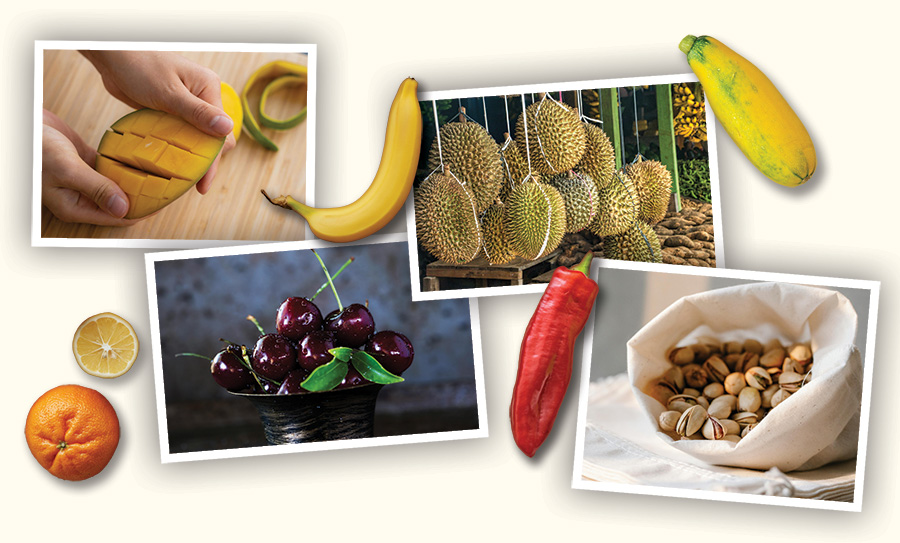 THE TASTE OF TRADE THE TASTE OF TRADE